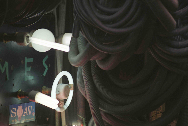 The Mind's Eye